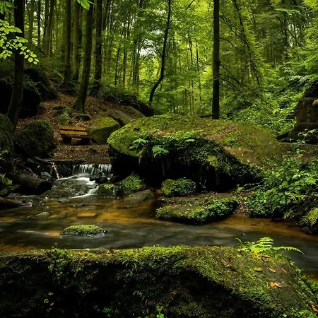 Iris Schumacher Зиммерат