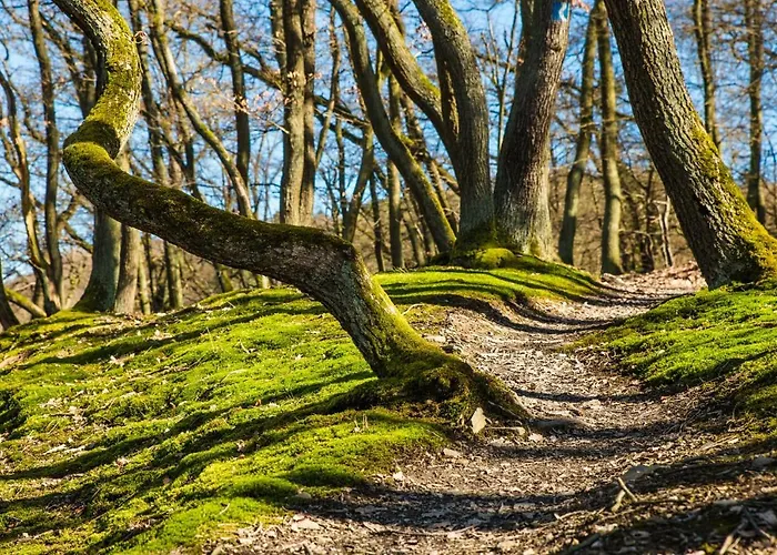 Iris Schumacher Apartamento Simmerath