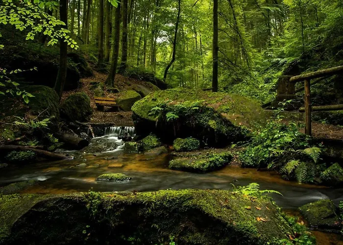 Iris Schumacher Simmerath