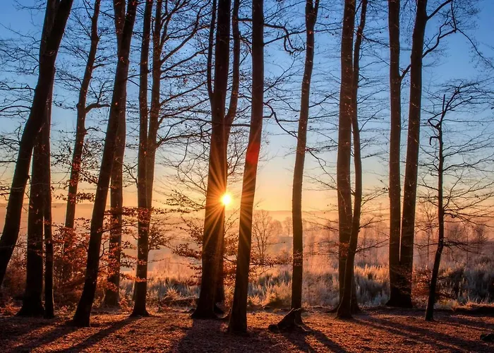 Iris Schumacher * Simmerath